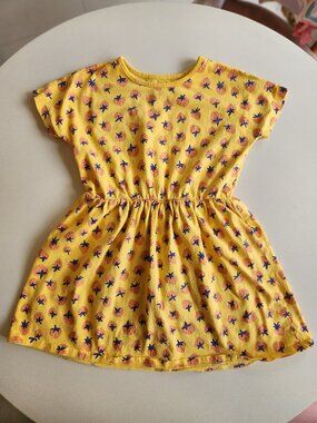 Tea Collection Strawberry Dress Size 10